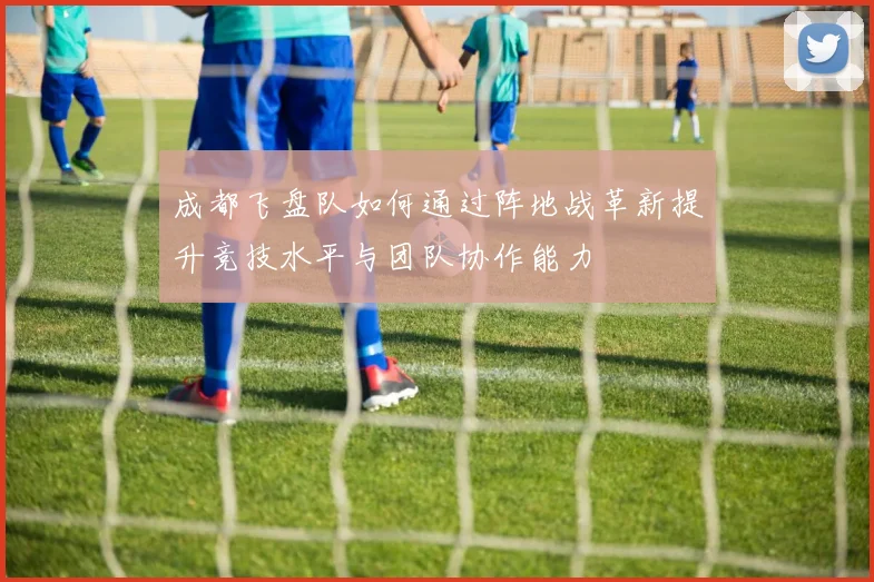 成都飞盘队如何通过阵地战革新提升竞技水平与团队协作能力